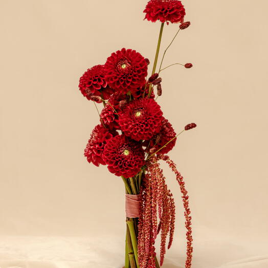 Velvet Romance
