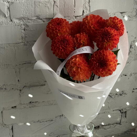 Яркие рыжики 🧡