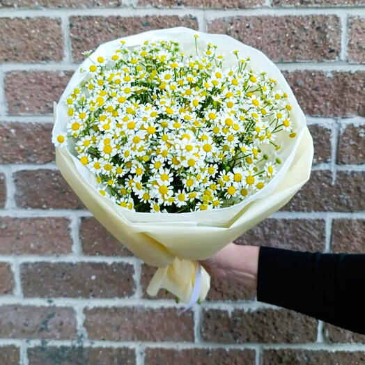 Букет из 15 ромашек