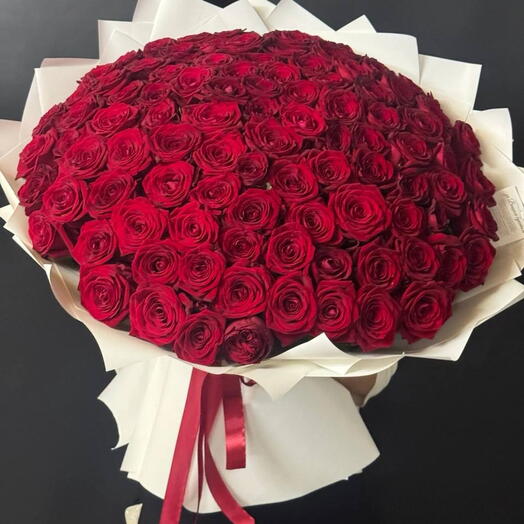 101 Роза Красная Роза