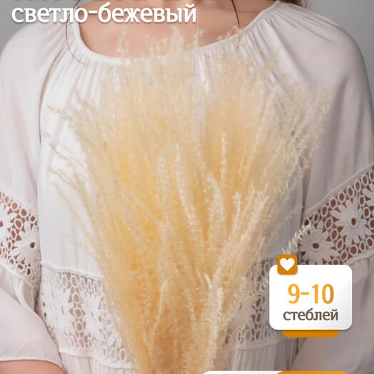 Мискантус светло-бежевый 10 шт. Высший сорт М039