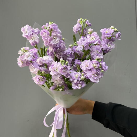 Лавандовая Маттиола 5 шт 💜