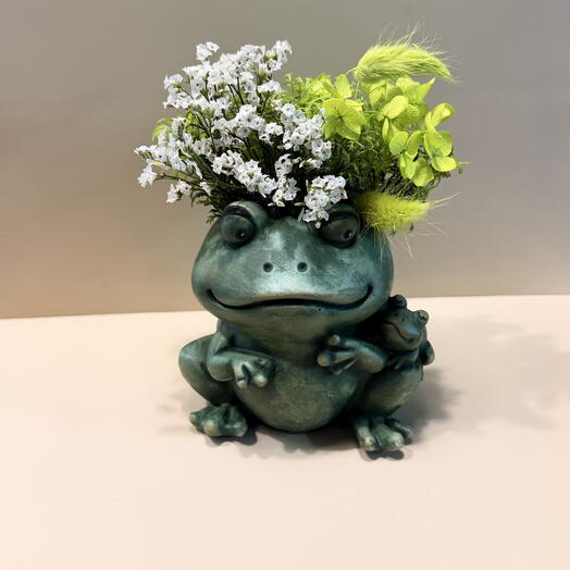 Цветы стабилизированные в кашпо Жаба Денежная 🐸