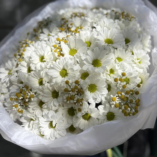 Букет из Ромашек