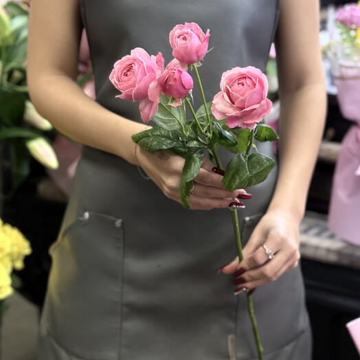 Роза кустовая пионовидная Silva Pink (1 ветка)