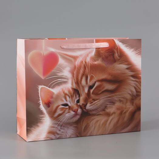 Пакет подарочный ламинированный горизонтальный «Котики», 40×31×11.5 см