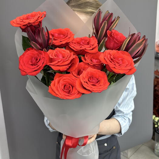 Алые розы с леукадендроном в матовой упаковке