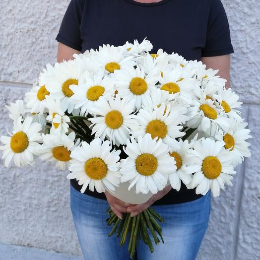 Bouquet of 51 chamomile