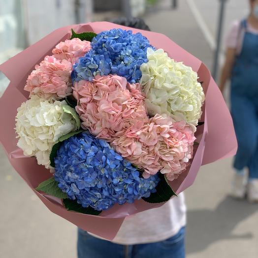A bouquet of hydrangeas