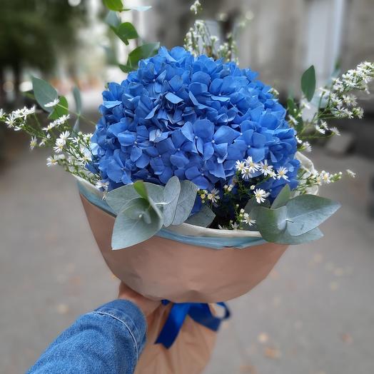 Воздушная гортензия