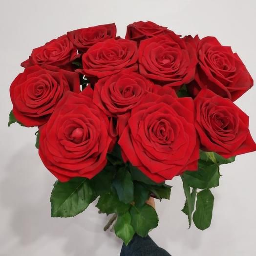 Rose red