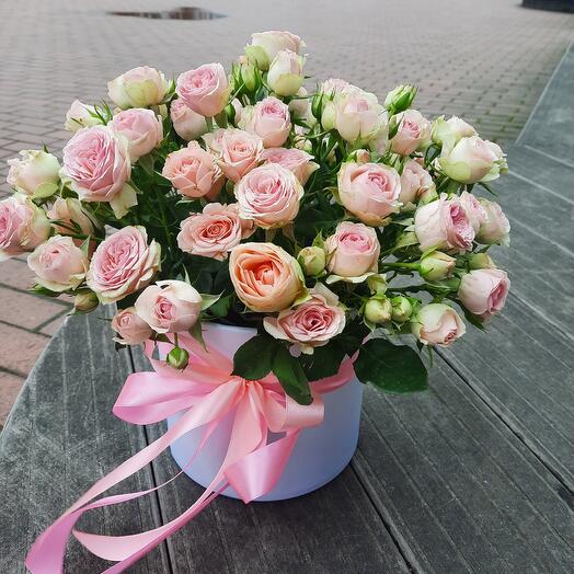 Gentle cloudy 💗