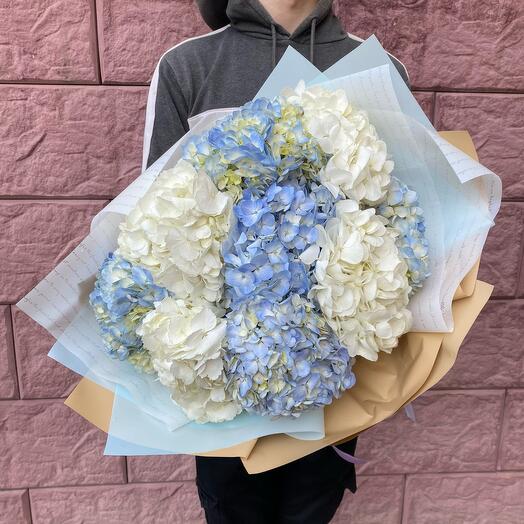 Nube de hortensias
