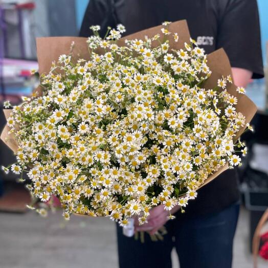25 daisies