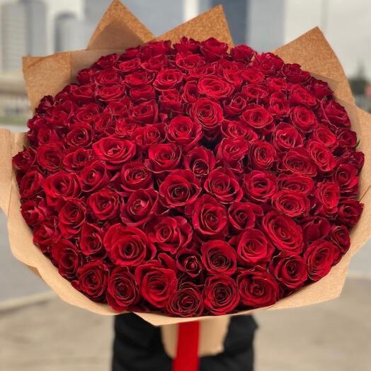 101 эквадорская Роза 🌹