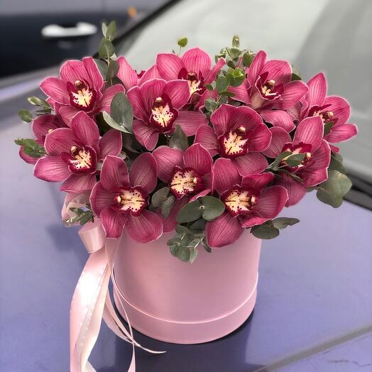 Orquídea en Caja