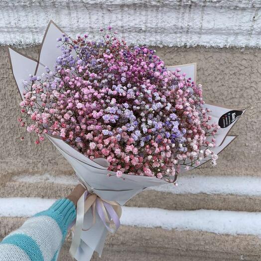 Bouquet of gypsophila