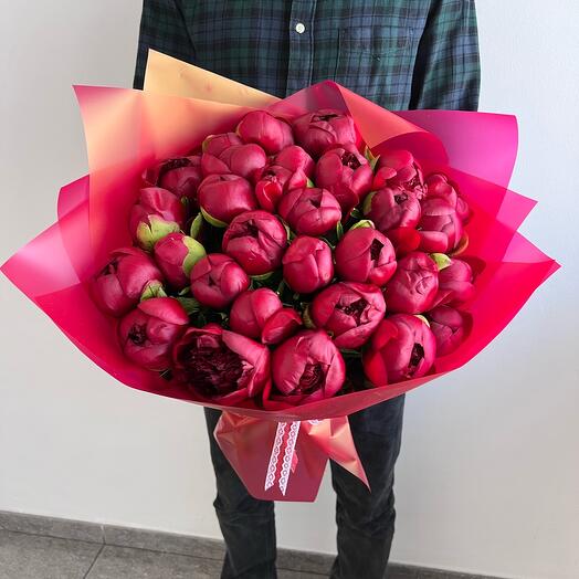 Peonies burgundy