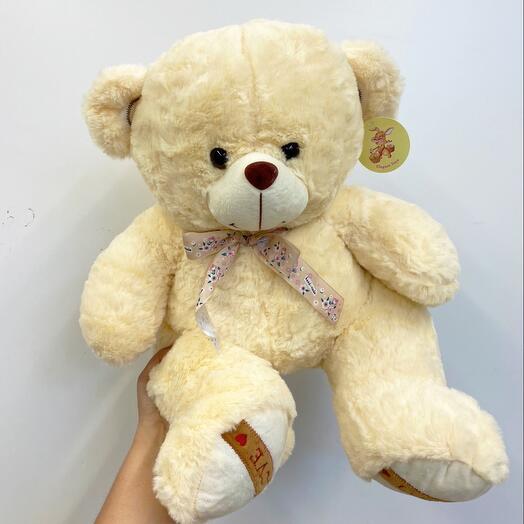 Teddy bear