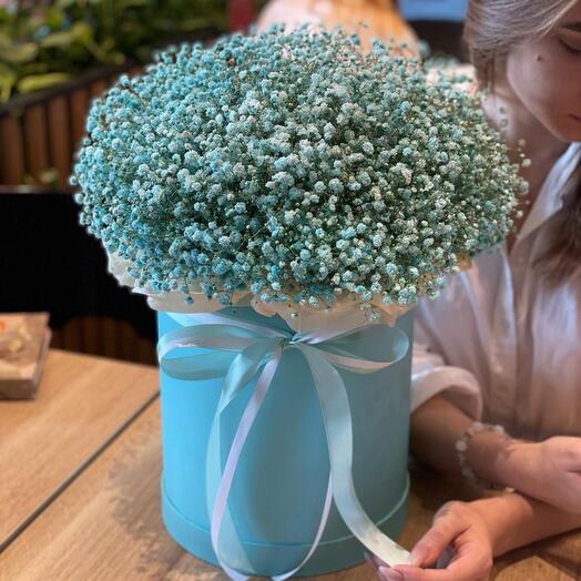 Ramo de gypsophila de un delicado tono azul
