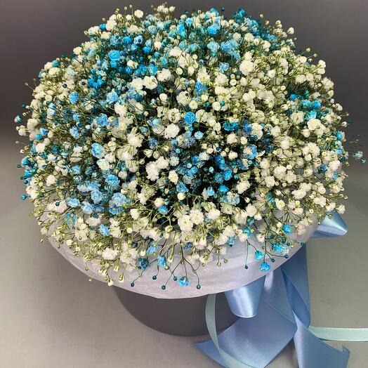 A large box of gypsophila