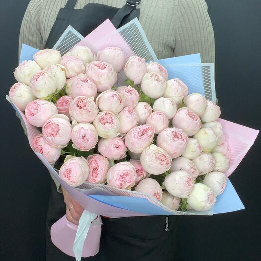 Peony-shaped roses
