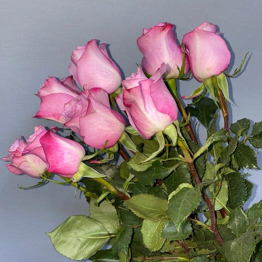 Rose 60cm 9pcs