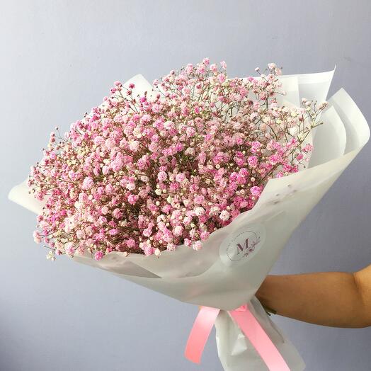 Gypsophila's airy cloud