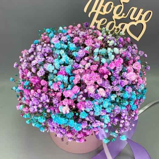 Composición de gypsophila