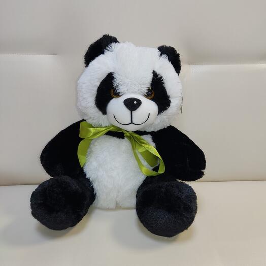 Darcy the Panda