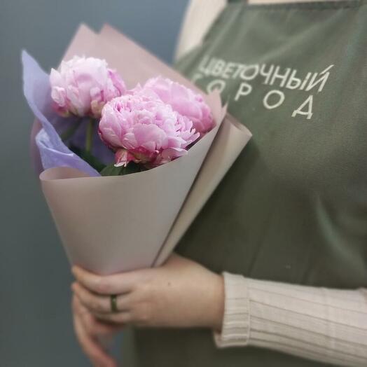 Пионы розовые