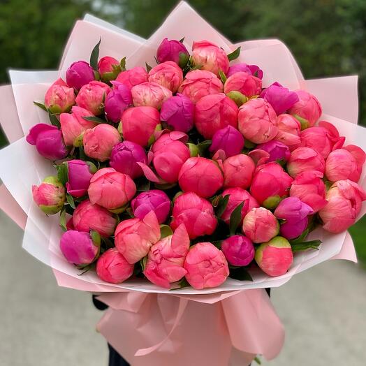 51 пион