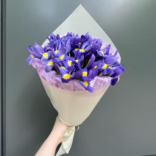 Ramo De Iris