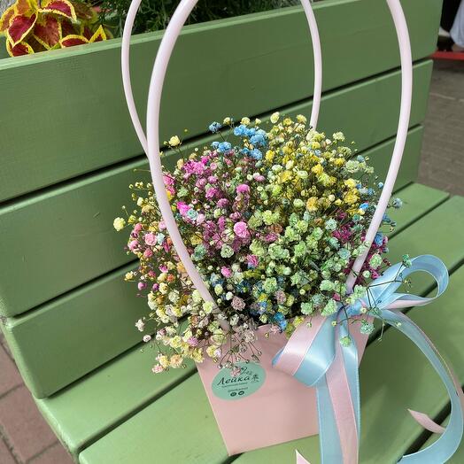 Gypsophila en el bolso