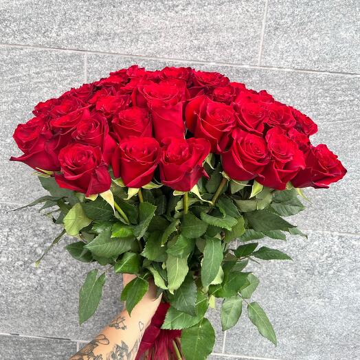 Роза бордовая 51 шт