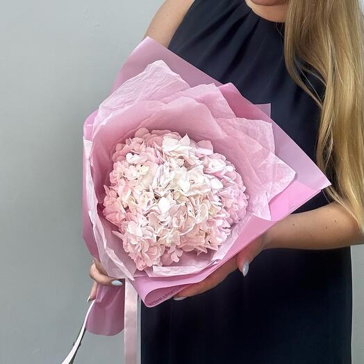 Hydrangea in a package