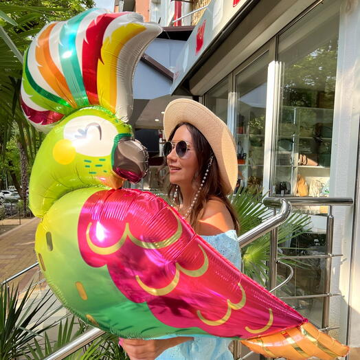 Шарик попугай какаду