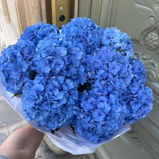 Hortensia blue intense 9 flowers