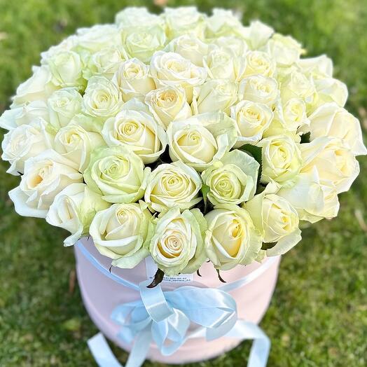 White love