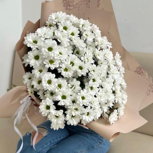 Пышные хризантемы🌸