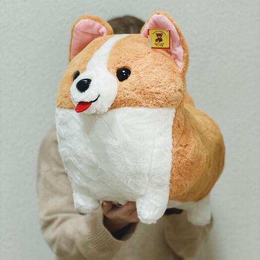 Корги 50см