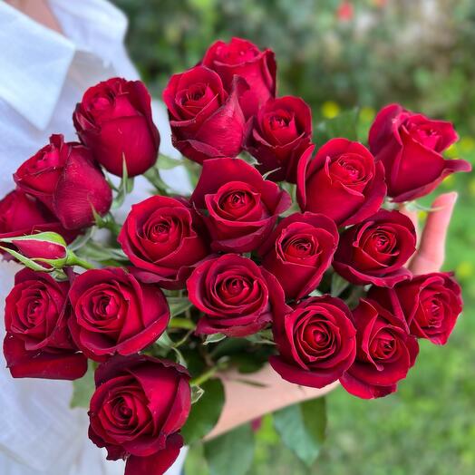 19 roses