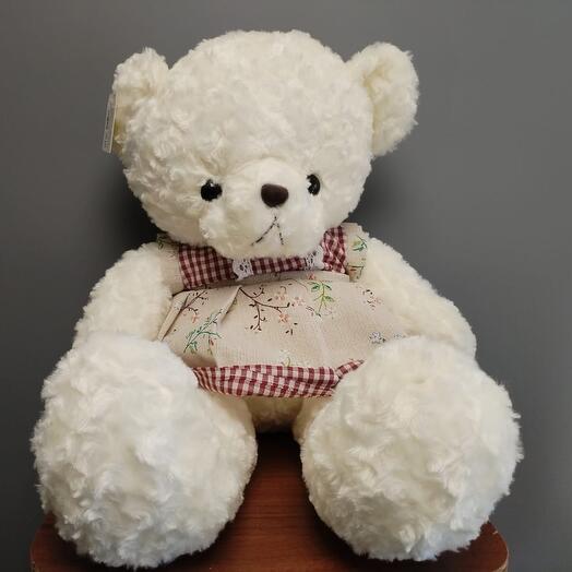 Мишка в платье