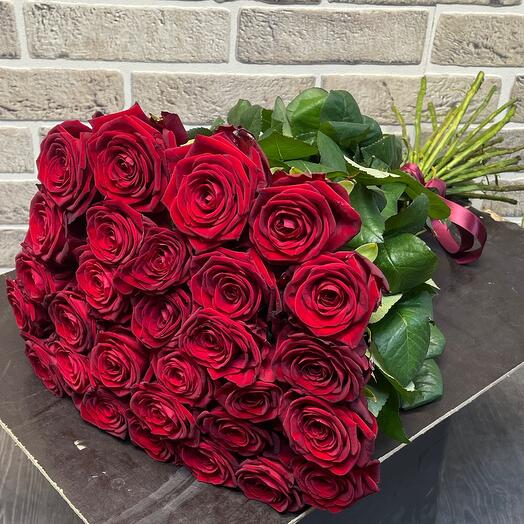 Rose29