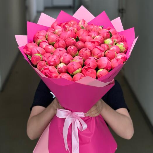 Premium Coral Peonies