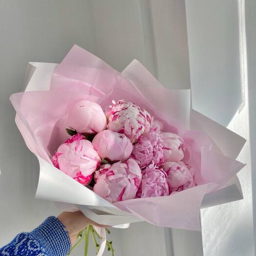 Пионы розовые Sara Bernar 9