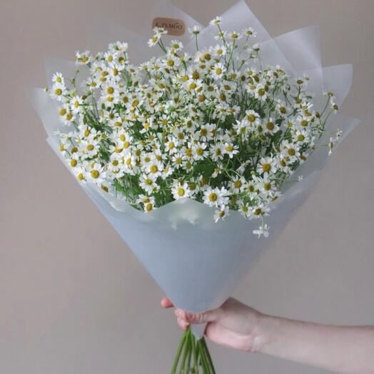 Букет из ромашек ( танацетум)