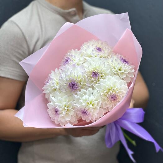 Dahlias