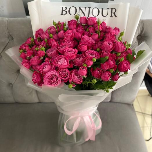 Rosetas de peonía de arbusto