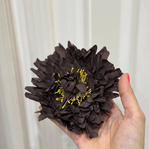 Брошь ASTRANTIA M - COCAO